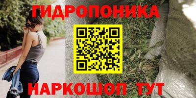 PSILOCYBIN Будённовск