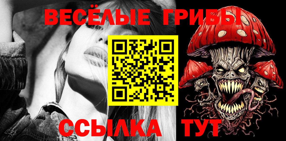 купить наркоту  Галлюциногенные грибы MAGIC MUSHROOMS  Вход с VPN  Фролово 